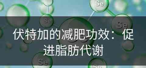 伏特加的减肥功效：促进脂肪代谢